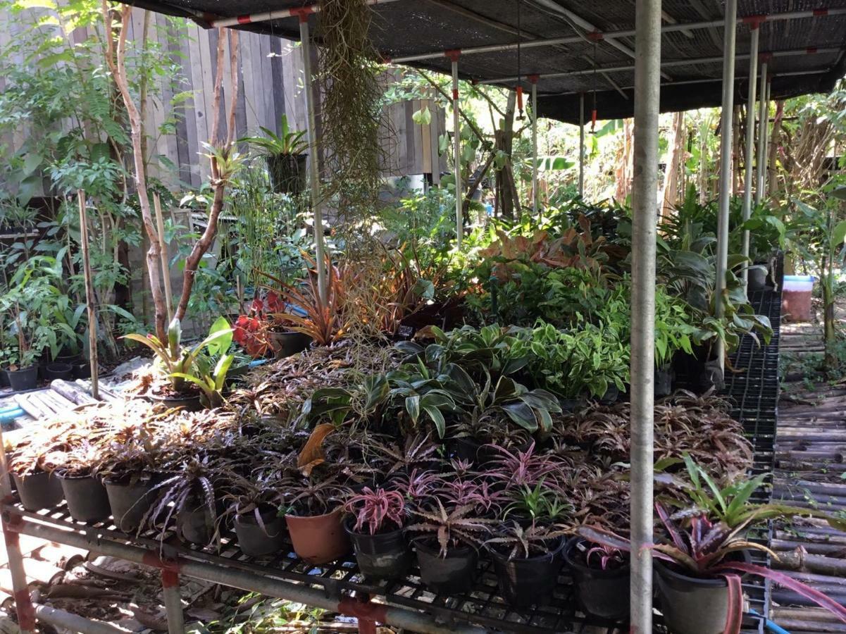 Rustic​ Charm​ Suphan​ Ban Tha Pong Exterior photo